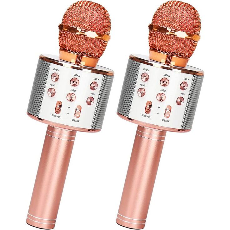 WS-858 Wireless Bluetooth Mic – Rechargeable Karaoke Speaker