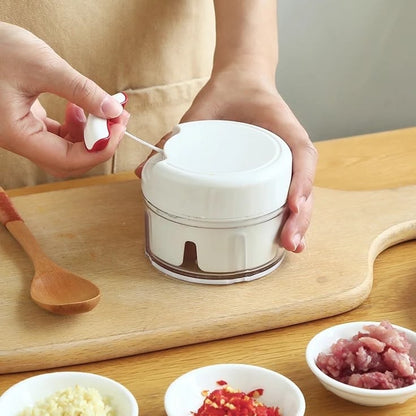 Mini Manual Garlic Chopper – Quick Vegetable Cutter Pakistan