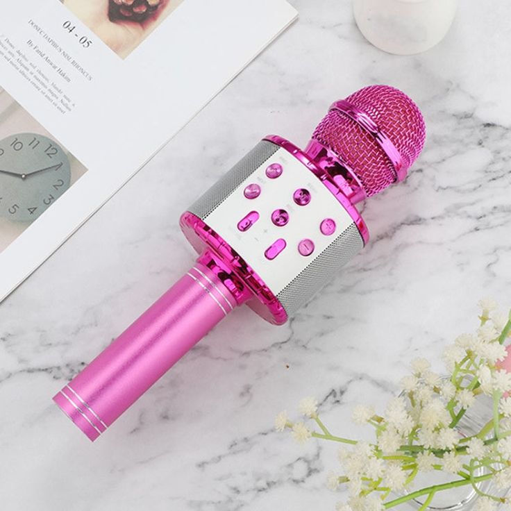 WS-858 Wireless Bluetooth Mic – Rechargeable Karaoke Speaker