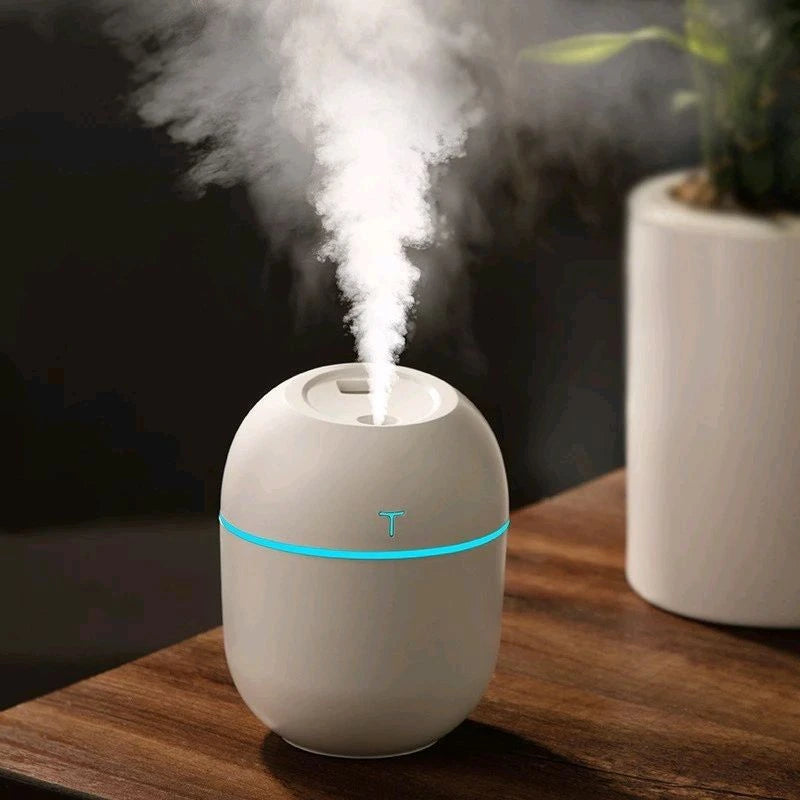 Mini Egg Humidifier – Small Cute USB Humidifier