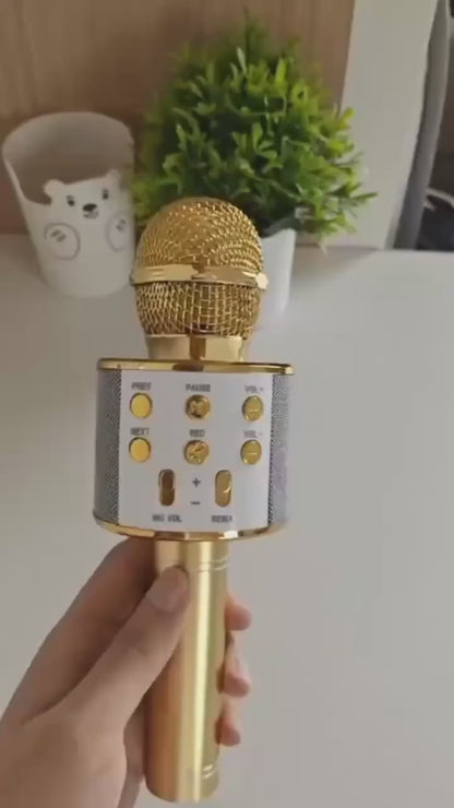 WS-858 Wireless Bluetooth Mic – Rechargeable Karaoke Speaker