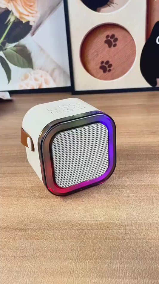 K12 Bluetooth Speaker with Mic – Portable Party Speaker